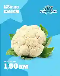 BINGO Akcija HIT PONEDELJKA  sniženja za 17.11.2025