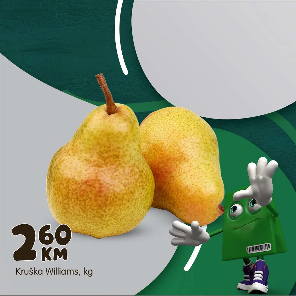 katalozi Bingo sniženja