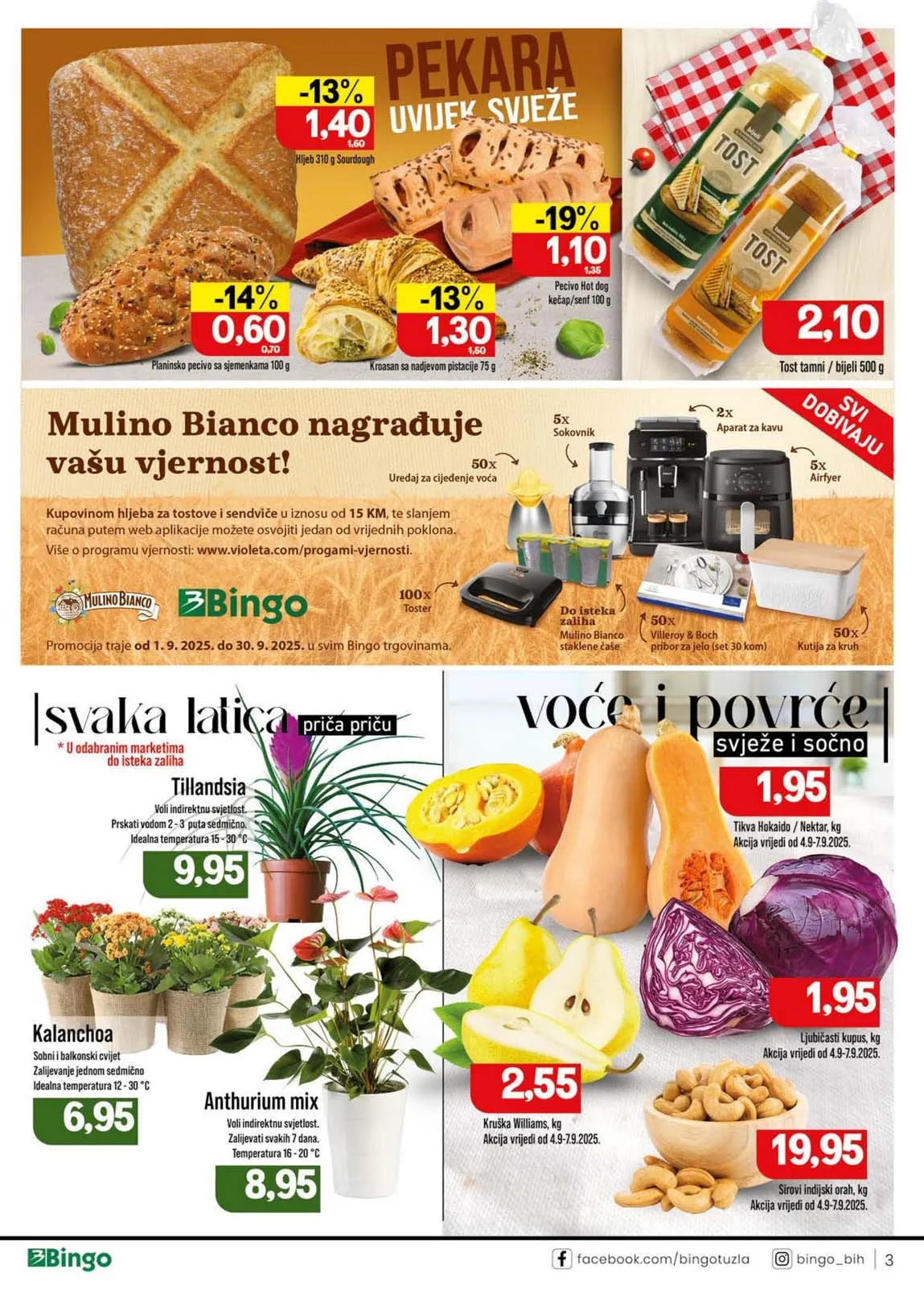 Katalog Bingo