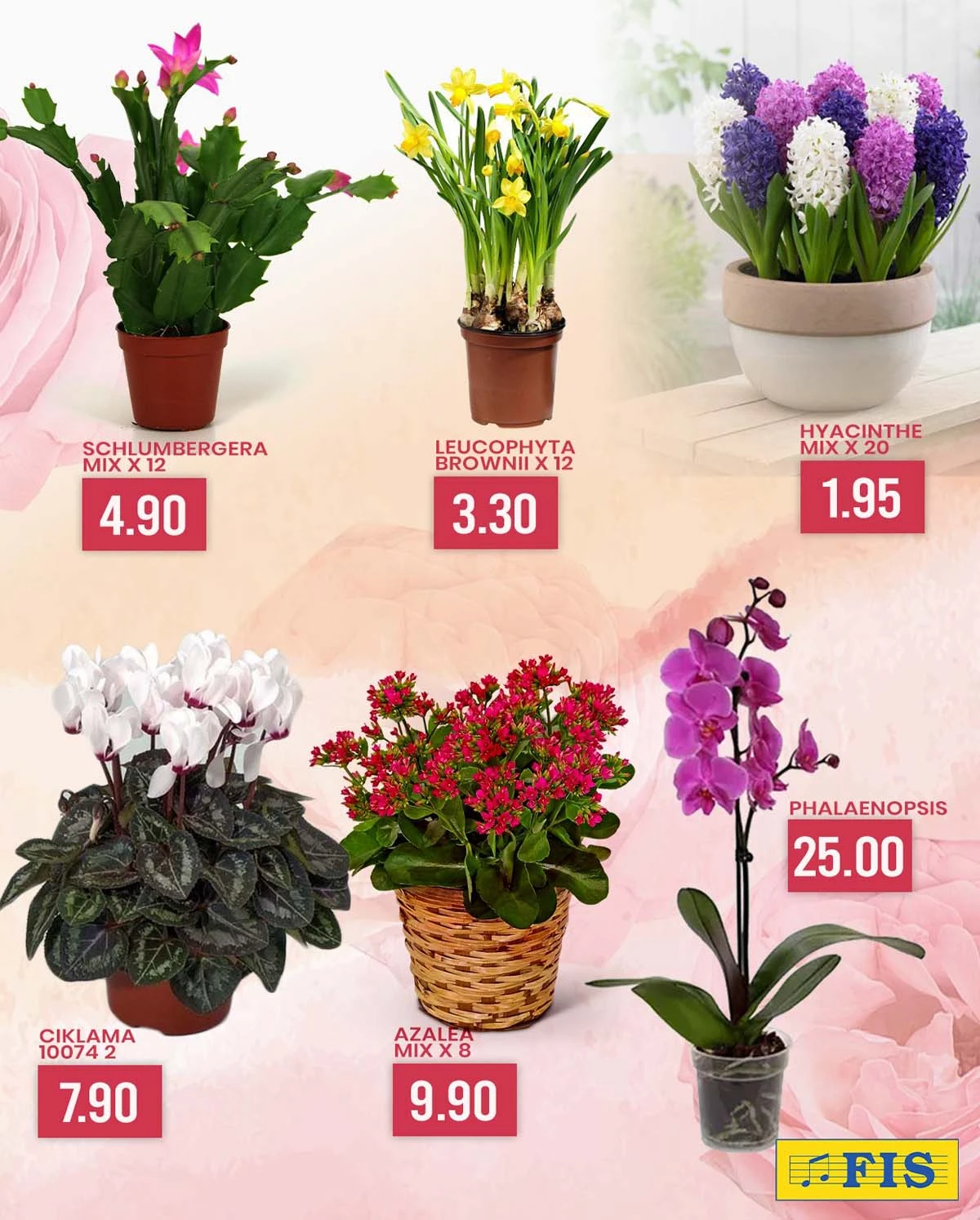 FIS katalog 8 mart strana 6 sniženja do 08.03.2026