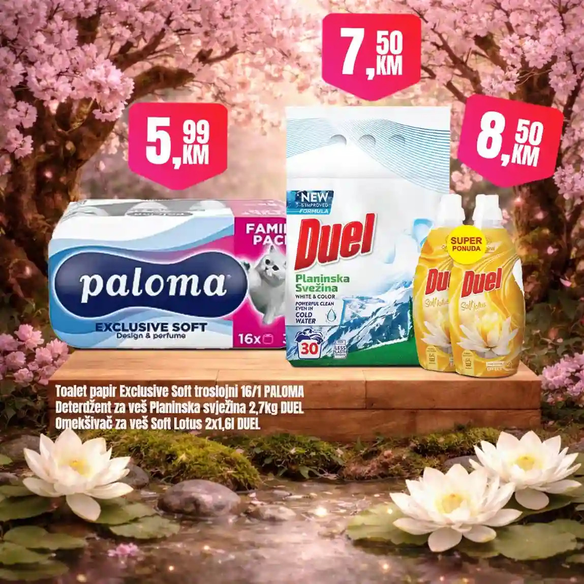 Fortuna market akcija