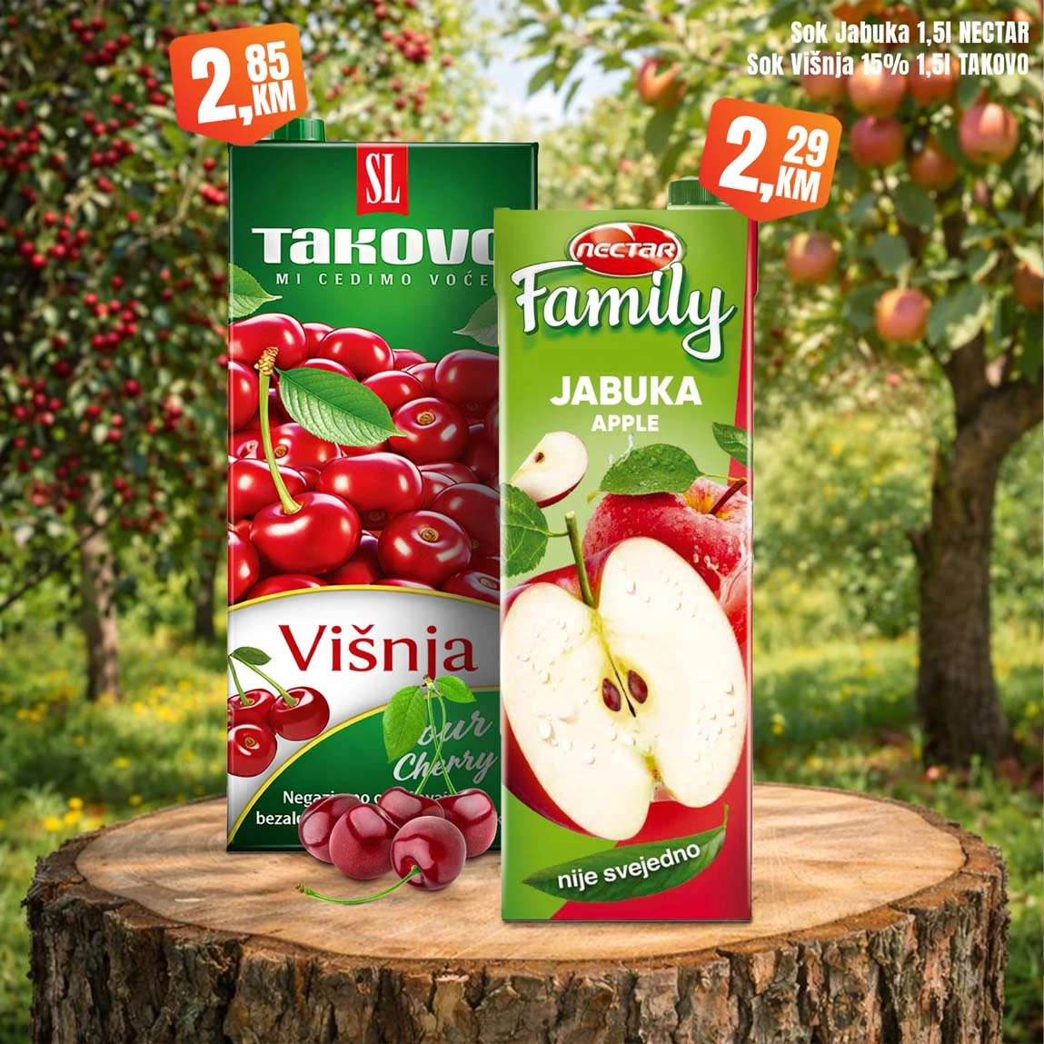 Fortuna market akcija